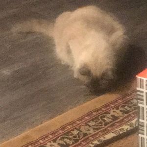 Meet your Posher, Elle